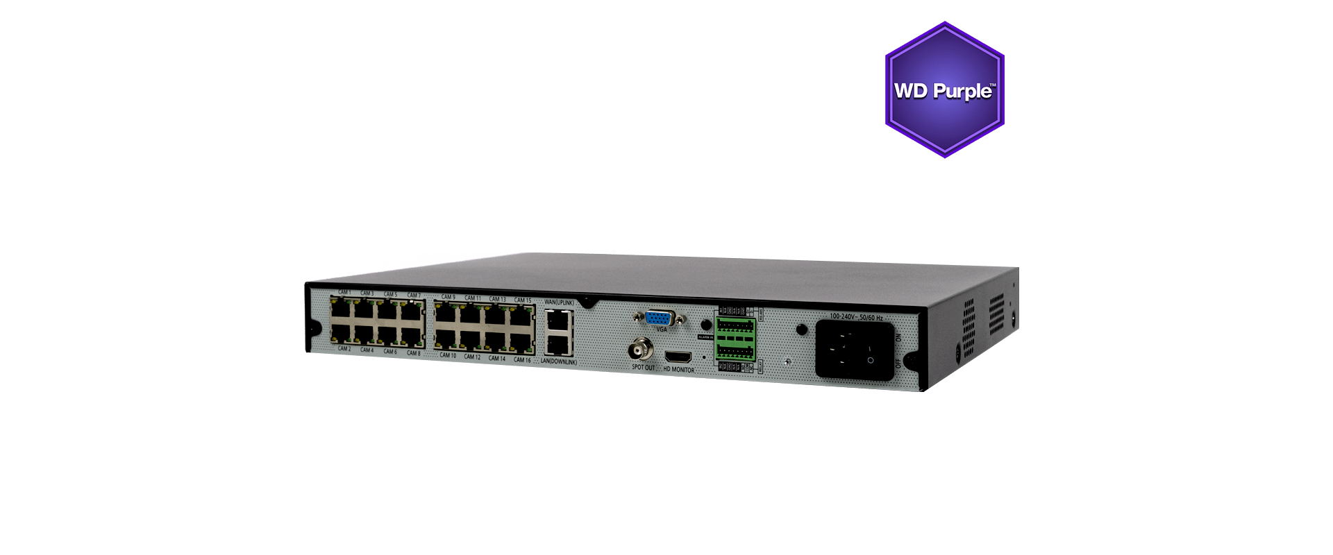 16 channel NVR Lite